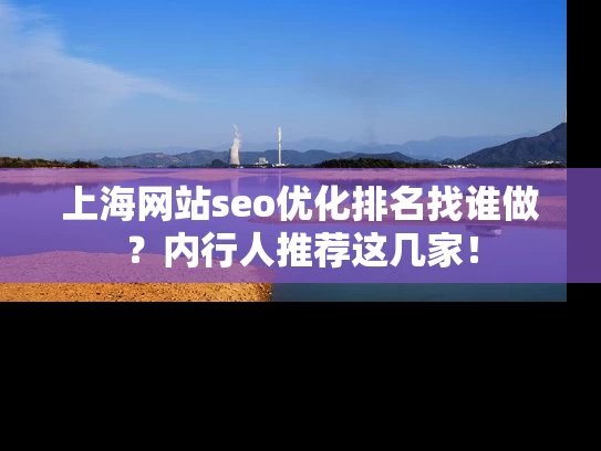 上海网站seo优化排名找谁做？内行人推荐这几家！