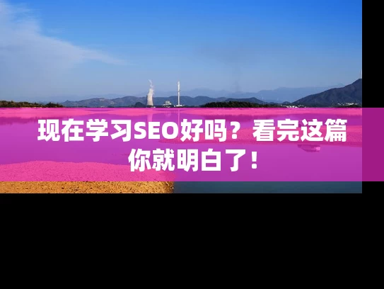 现在学习SEO好吗？看完这篇你就明白了！