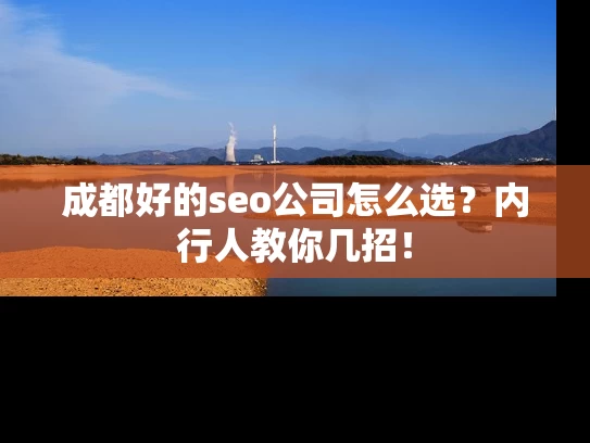 成都好的seo公司怎么选？内行人教你几招！