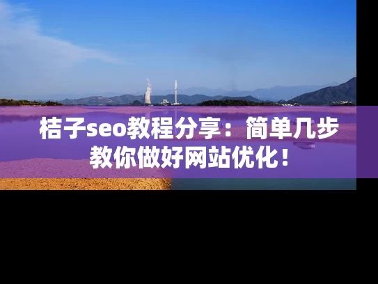 桔子seo教程分享：简单几步教你做好网站优化！