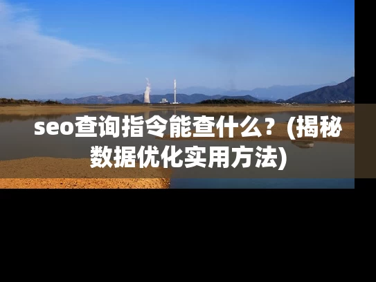 seo查询指令能查什么？(揭秘数据优化实用方法)