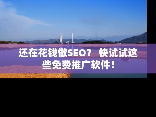 还在花钱做SEO？ 快试试这些免费推广软件！