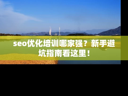 seo优化培训哪家强？新手避坑指南看这里！