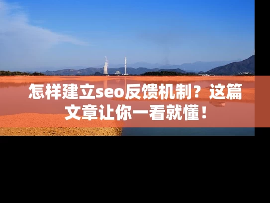 怎样建立seo反馈机制？这篇文章让你一看就懂！