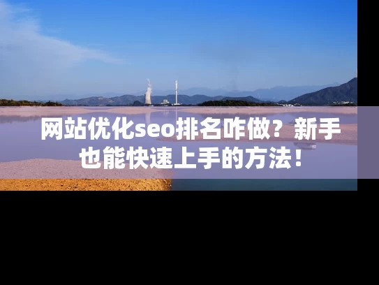 网站优化seo排名咋做？新手也能快速上手的方法！