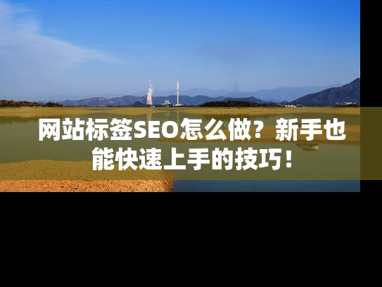 网站标签SEO怎么做？新手也能快速上手的技巧！