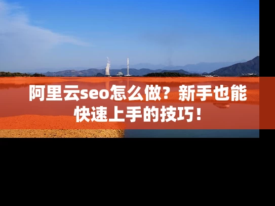 阿里云seo怎么做？新手也能快速上手的技巧！
