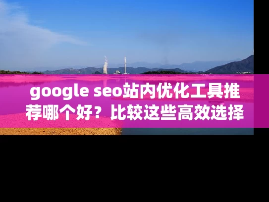 google seo站内优化工具推荐哪个好？比较这些高效选择工具