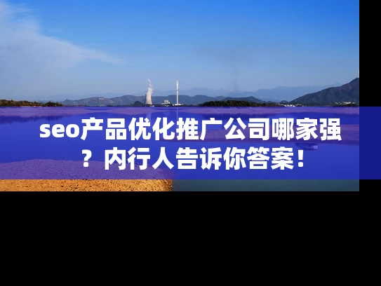 seo产品优化推广公司哪家强？内行人告诉你答案！