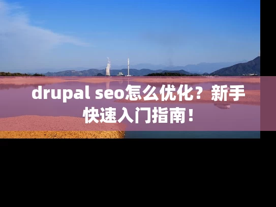 drupal seo怎么优化？新手快速入门指南！