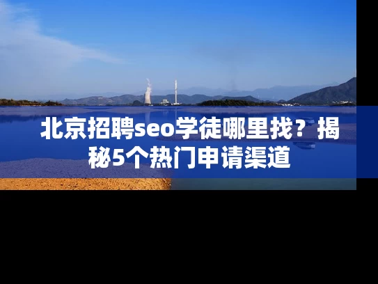 北京招聘seo学徒哪里找？揭秘5个热门申请渠道