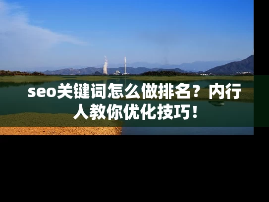 seo关键词怎么做排名？内行人教你优化技巧！
