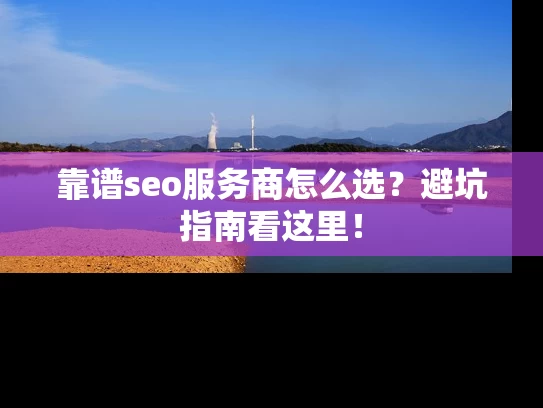 靠谱seo服务商怎么选？避坑指南看这里！