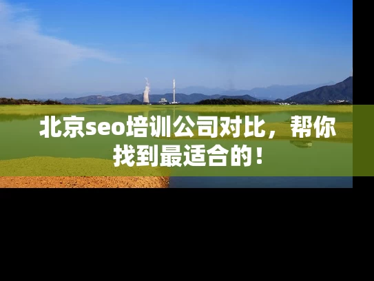 北京seo培训公司对比，帮你找到最适合的！