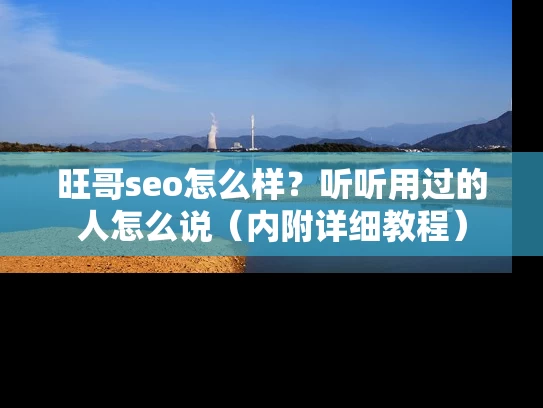 旺哥seo怎么样？听听用过的人怎么说（内附详细教程）