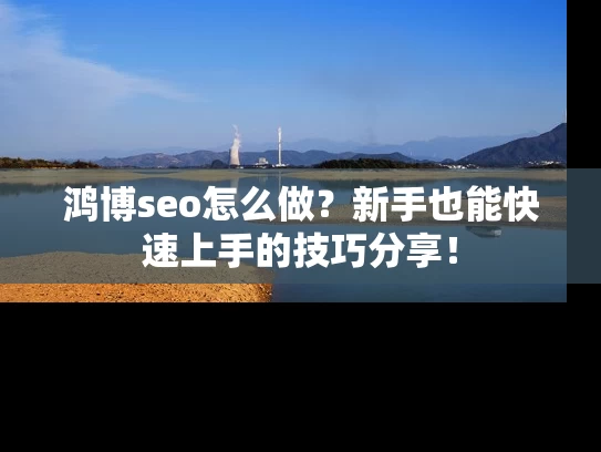 鸿博seo怎么做？新手也能快速上手的技巧分享！