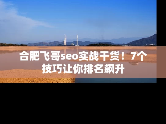 合肥飞哥seo实战干货！7个技巧让你排名飙升