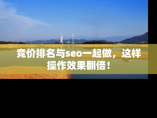 竞价排名与seo一起做，这样操作效果翻倍！