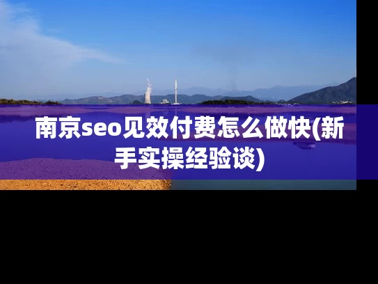 南京seo见效付费怎么做快(新手实操经验谈)