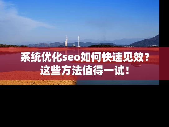 系统优化seo如何快速见效？这些方法值得一试！