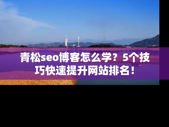 青松seo博客怎么学？5个技巧快速提升网站排名！