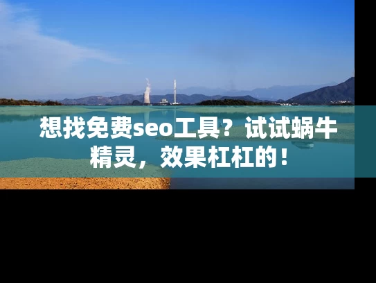 想找免费seo工具？试试蜗牛精灵，效果杠杠的！