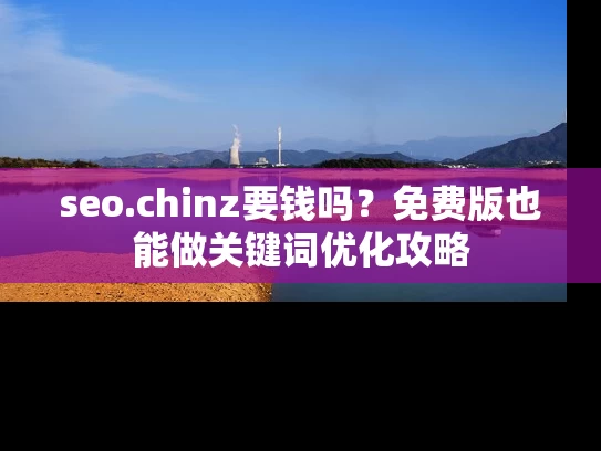 seo.chinz要钱吗？免费版也能做关键词优化攻略