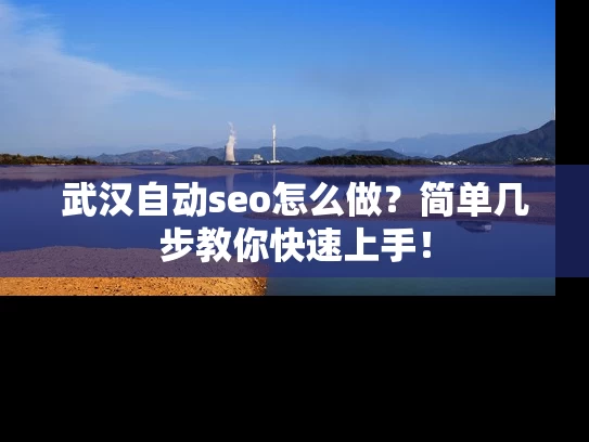 武汉自动seo怎么做？简单几步教你快速上手！