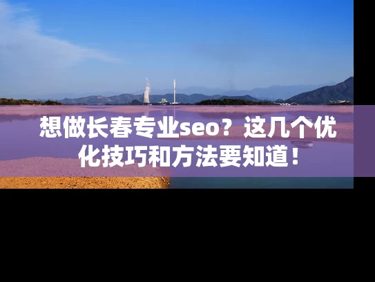 想做长春专业seo？这几个优化技巧和方法要知道！