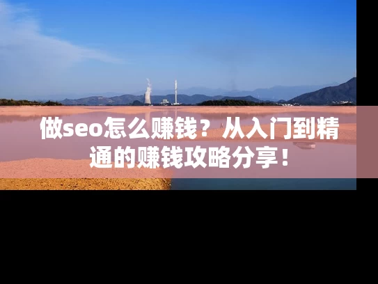 做seo怎么赚钱？从入门到精通的赚钱攻略分享！