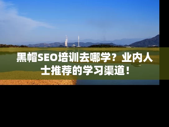 黑帽SEO培训去哪学？业内人士推荐的学习渠道！