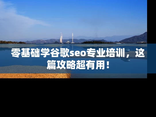 零基础学谷歌seo专业培训，这篇攻略超有用！