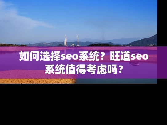 如何选择seo系统？旺道seo系统值得考虑吗？