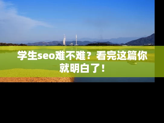 学生seo难不难？看完这篇你就明白了！