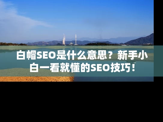 白帽SEO是什么意思？新手小白一看就懂的SEO技巧！