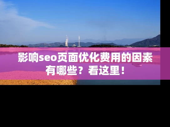影响seo页面优化费用的因素有哪些？看这里！
