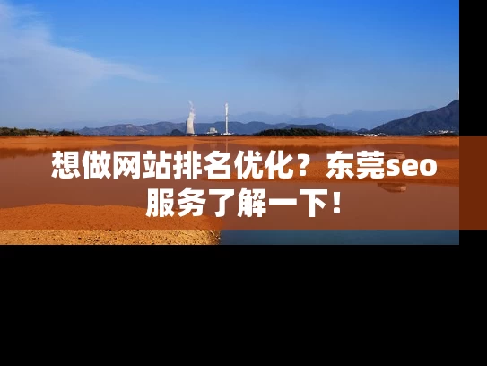 想做网站排名优化？东莞seo服务了解一下！
