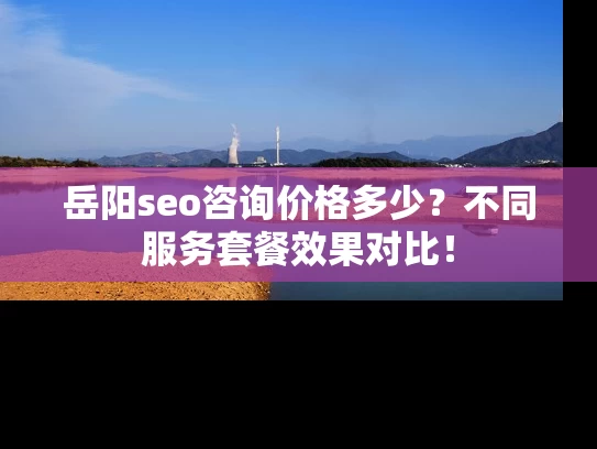 岳阳seo咨询价格多少？不同服务套餐效果对比！