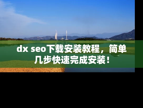 dx seo下载安装教程，简单几步快速完成安装！