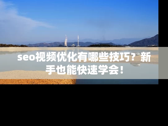 seo视频优化有哪些技巧？新手也能快速学会！