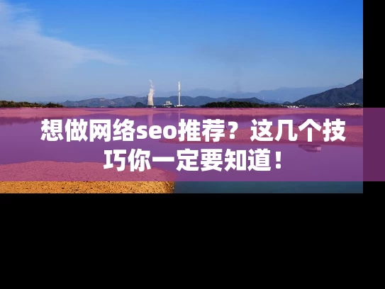 想做网络seo推荐？这几个技巧你一定要知道！