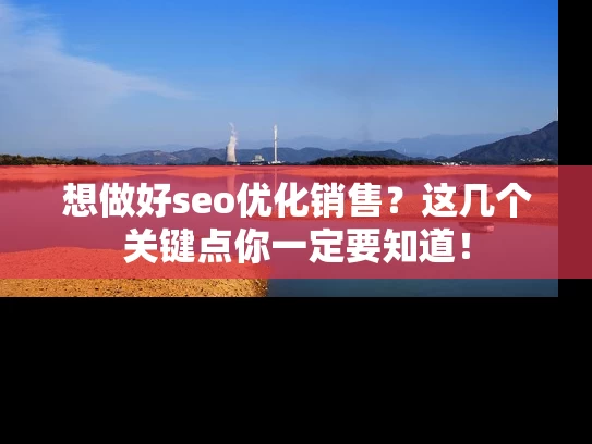 想做好seo优化销售？这几个关键点你一定要知道！