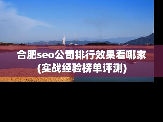 合肥seo公司排行效果看哪家(实战经验榜单评测)