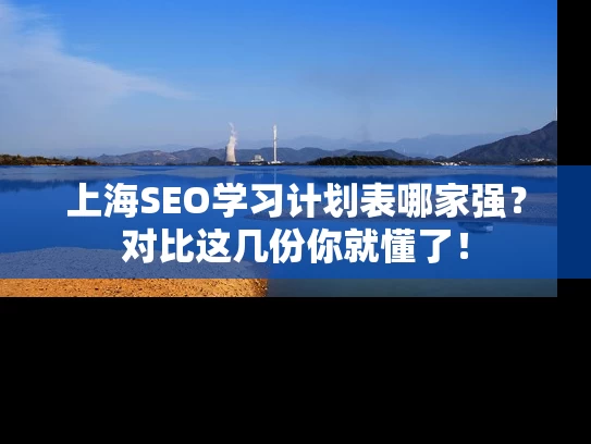 上海SEO学习计划表哪家强？对比这几份你就懂了！