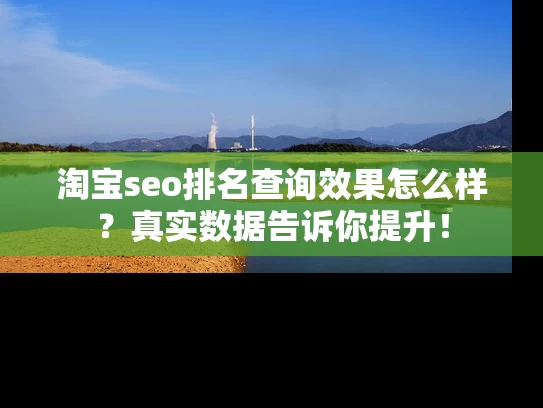淘宝seo排名查询效果怎么样？真实数据告诉你提升！