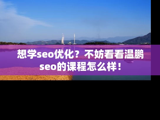 想学seo优化？不妨看看温鹏seo的课程怎么样！