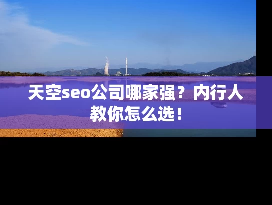 天空seo公司哪家强？内行人教你怎么选！