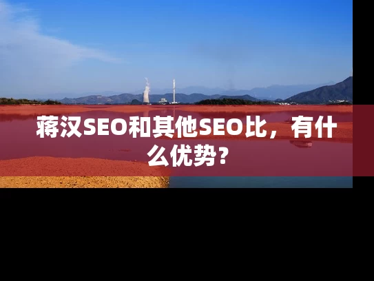 蒋汉SEO和其他SEO比，有什么优势？