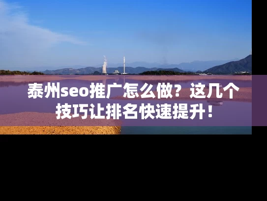 泰州seo推广怎么做？这几个技巧让排名快速提升！