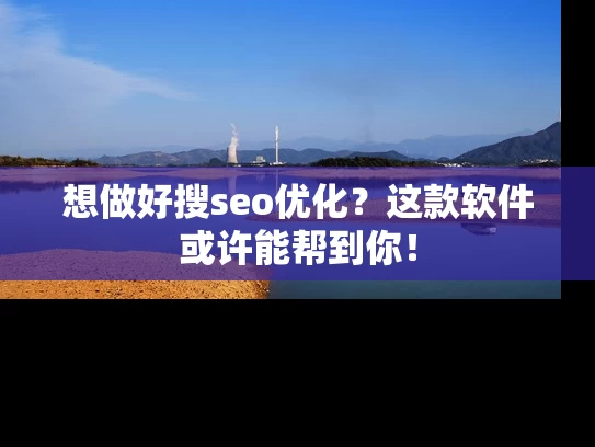 想做好搜seo优化？这款软件或许能帮到你！